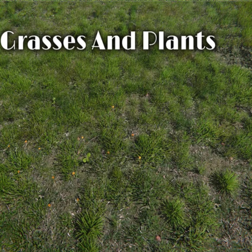 Unity3D Grasses And Plants Pack [1.0] 草地和植物包
