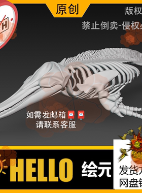 max/c4d/zb短喙海豚动物骨骼骨架解剖3d模型stl/obj/fbx/glb/usdz