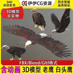 3D模型Blend老鹰飞禽Eagle雄鹰大雕白头鹰秃鹰FBX带动画飞翔gltf