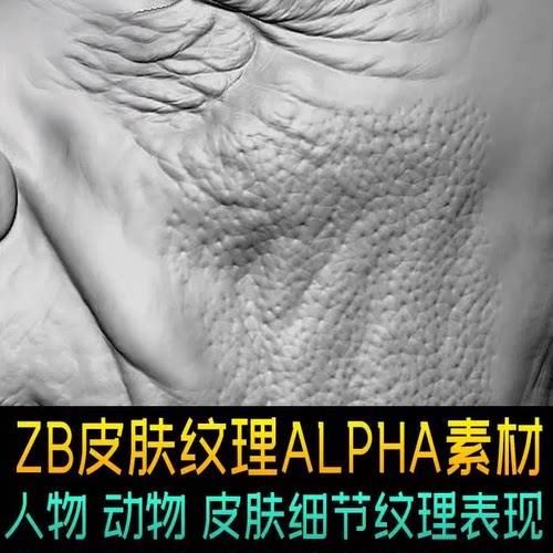 zbrush高精度皮肤纹理细节笔刷alpha素材人物动物皮纹褶皱纹路