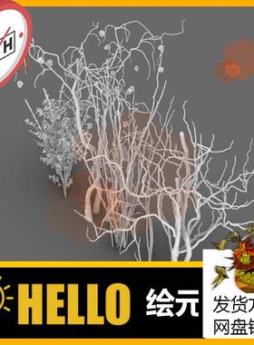 12干枯树枝干树枝树条场景植物犀牛rhino/C4D/3Dmax/maya模型obj