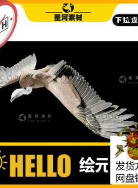 UE5虚幻5 Vulture写实逼真动物秃鹫秃鹰老鹰翅膀羽毛3D模型带动画