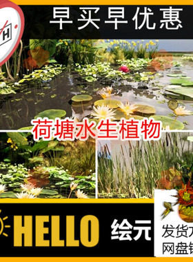ue5荷花叶子水生植物3d模型场景池塘水草水面水体莲花荷花池水池