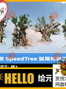 4款SpeedTree狐尾松树源工程 树木软件SpeedTree工程文件 spm