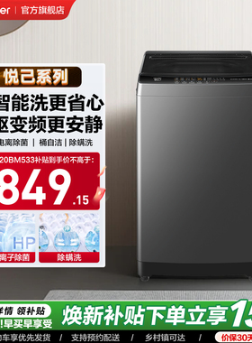 直驱变频海尔出品统帅波轮洗衣机12kg家用全自动大容量533