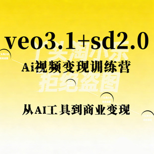veo3.1+sd2.0Ai视频变现训练营,从AI工具到商业变现