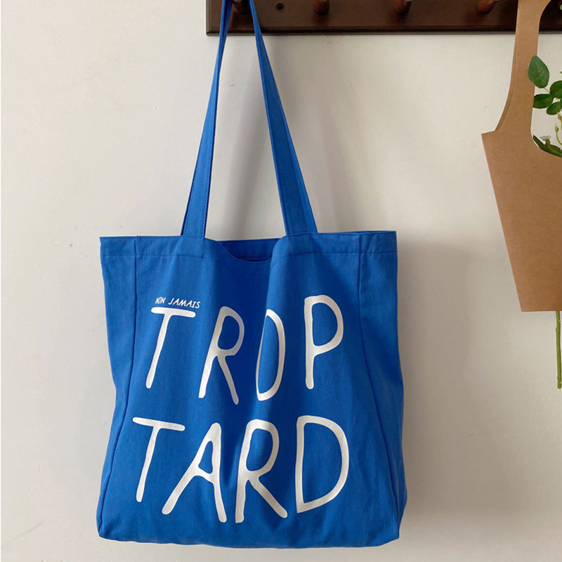 原创大容量单肩包百搭通勤帆布包