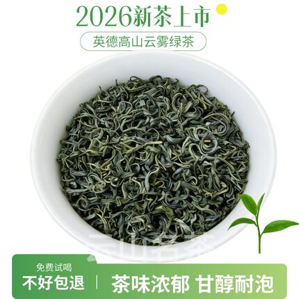 英德绿茶2026春茶高山云雾绿茶浓香耐泡豆香板栗香持久回甘自饮