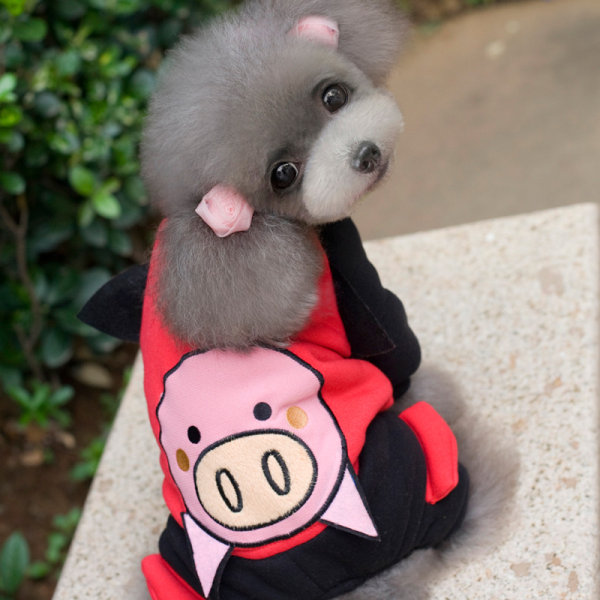 七彩屋 双面可穿 加厚 狗狗卫衣*2件 ￥21.2包邮（买2免1-￥10）多色可选