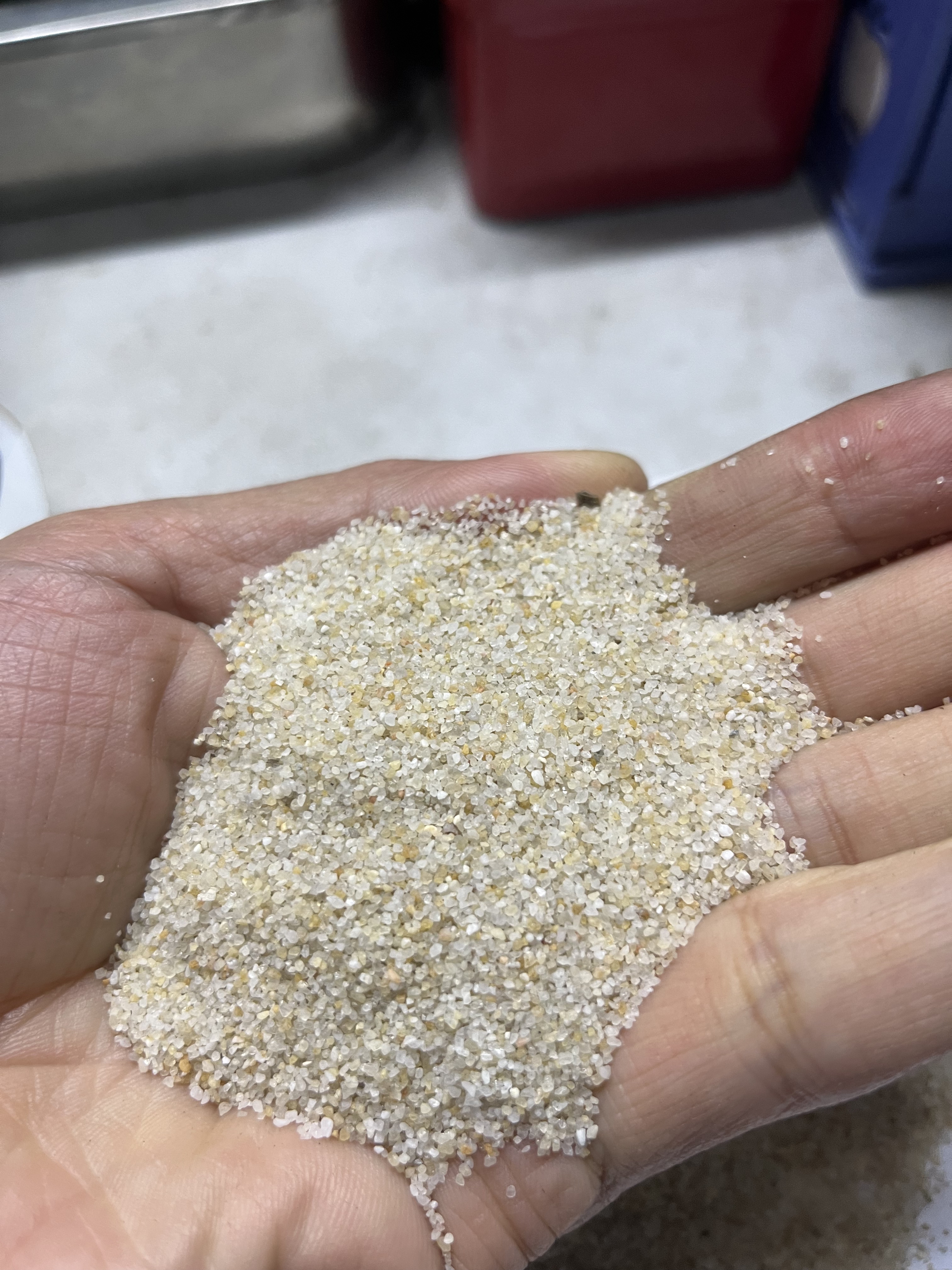 沙子撒哈拉沙漠沙子宠物沙蜥蜴爬宠正宗沙子宠物建材垫材沙子