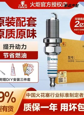 火炬OE218铱铂金LDK8RTIP-B奇瑞瑞虎8PLUS瑞虎9星途揽月凌云捷途