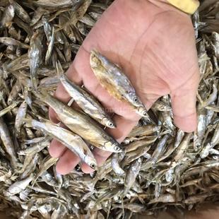 无盐鱼干宠物鱼干淡水鱼干猫零食小鱼干幼猫补钙磨牙棒500g 包邮