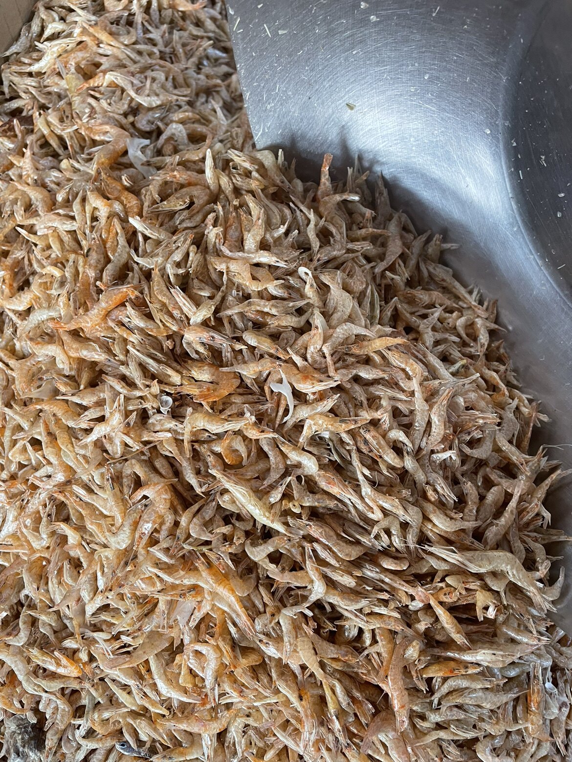 宠物虾干 晒干河虾干 无盐虾干 小虾干 虾干 宠物食品 500g包邮