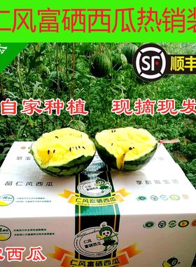 顺丰仁风富硒西瓜小兰黄瓤水果
