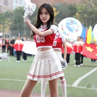 8065 Одиночный топ+841 юбка Red Edge Носки