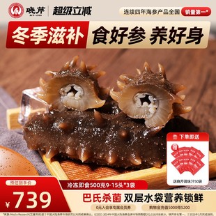 45只 3袋辽刺参27 大连晓芹即食海参500g 1500g非礼盒 新品