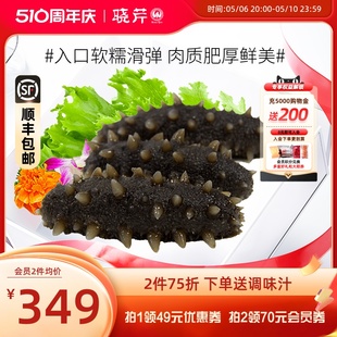 晓芹即食海参500克大连辽刺参海生海鲜开袋即食单个装 冷冻500克