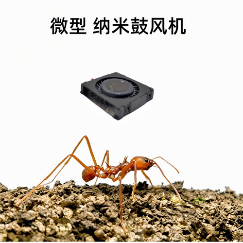 1503风扇5V微型鼓风机15x15x3mm散热风扇 纳米风扇3V 1.5cm/厘米