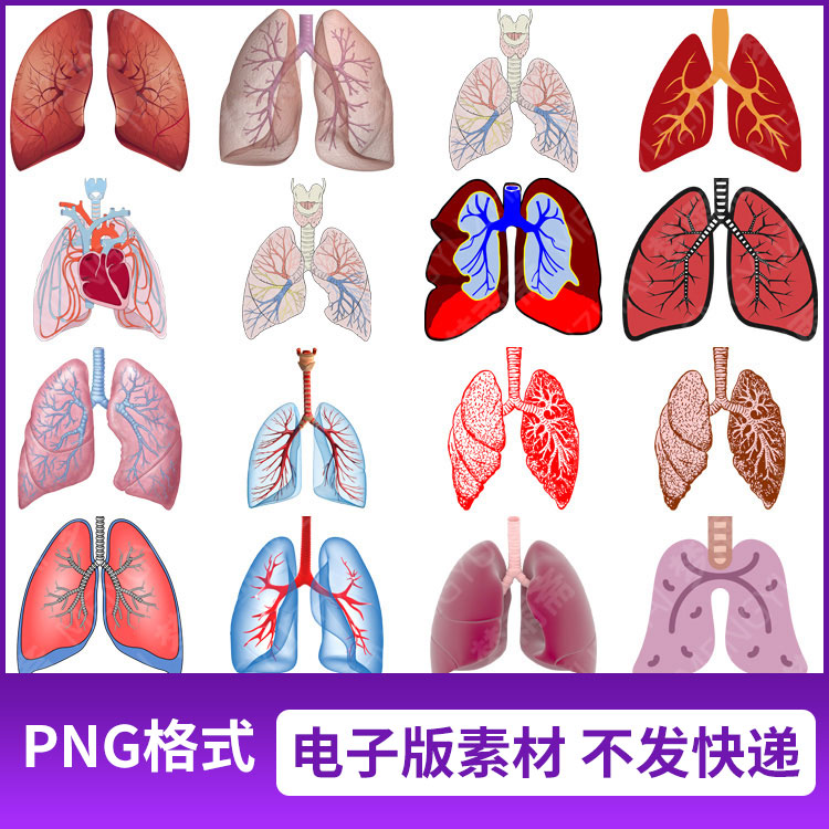 png格式人的肺部肺炎医学解剖挂图图片免抠元素透明底设计素材