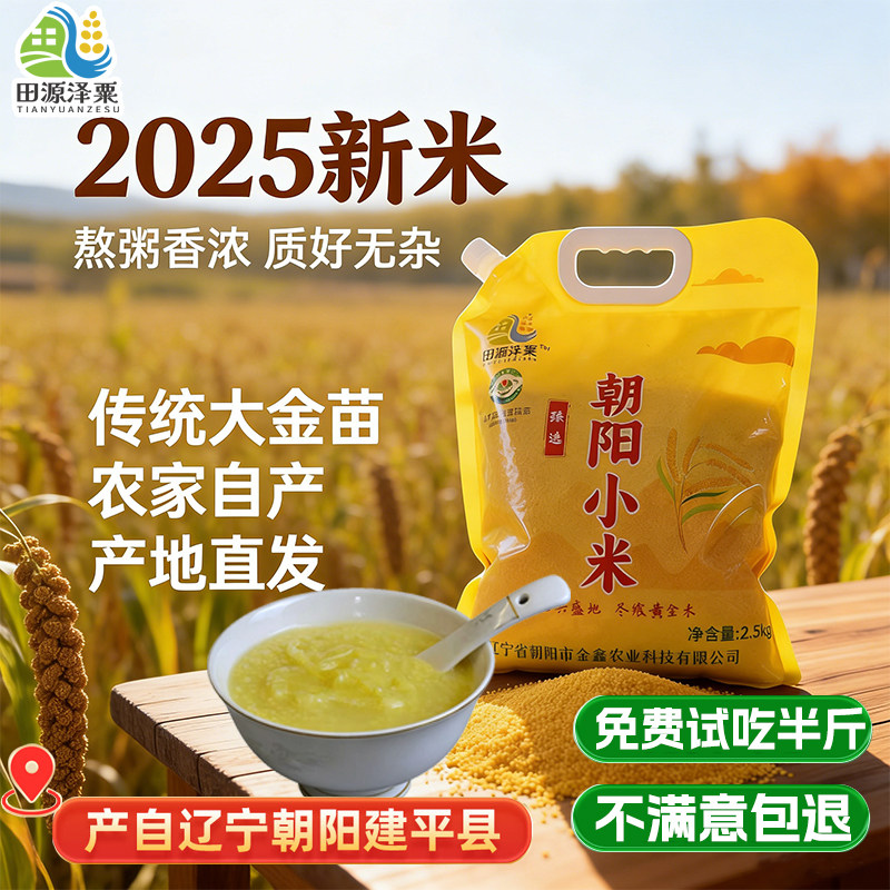 田源泽粟2025年新米大金苗东北辽宁杂粮朝阳小米5斤农家产地直发