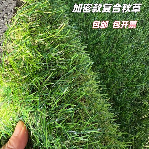 木林小生仿真草坪井盖复绿加密