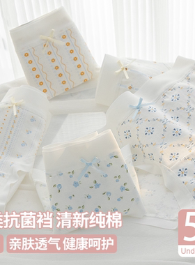 内裤女学生少女高中生纯棉抗菌短裤14岁13女孩子初中女生2026新款