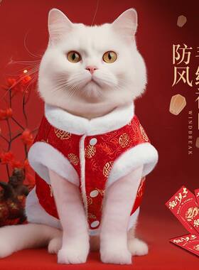 新年宠物小猫咪衣服布偶猫猫秋冬季加绒拜年过年保暖马甲喜庆唐装