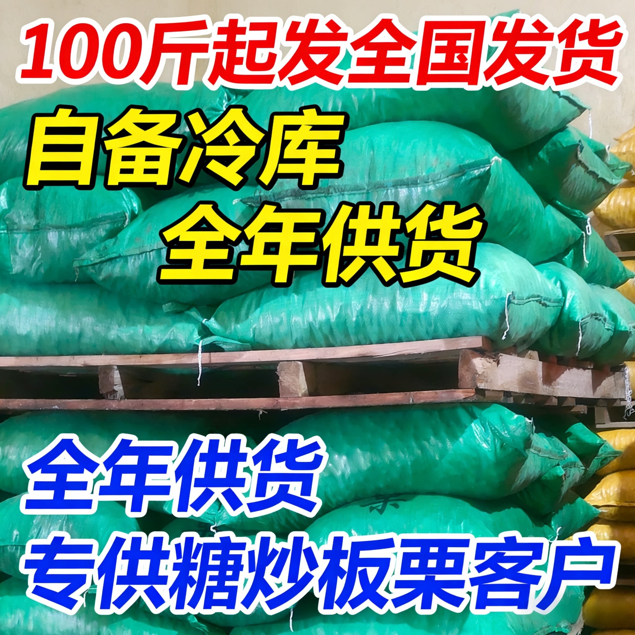 2025正宗迁西板栗生新鲜河北栗子大板栗唐山燕山油栗板栗批发包邮