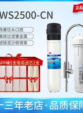 3M净水器净享DWS2500-CN家用直饮机厨房自来水过滤器净享2500复合