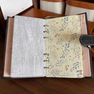 枝叶活页手帐本内页替芯纸质分隔页手揉云宣250g厚卡A5A6A7A8奇葩