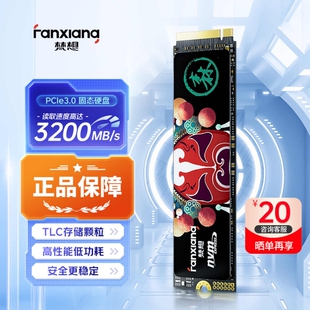 电脑笔记本固态硬盘m2pcie3 梵想S500PROssd固态硬盘1t2t500G台式