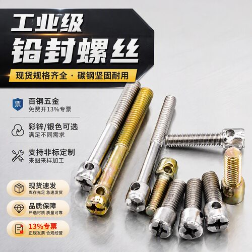 铅封螺丝钉 电表螺丝封表螺钉带孔螺丝M3M4M5M6*8x10x12x16x20-50