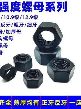 10.9级高强度螺母8.8级螺帽12.9级六角螺丝帽M6M8M10M12M16-M100