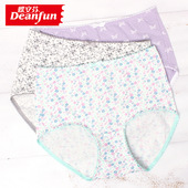 蝶安芬女士内裤 女透气舒适棉质薄款 透气高腰大码 正品 小平角裤 3733