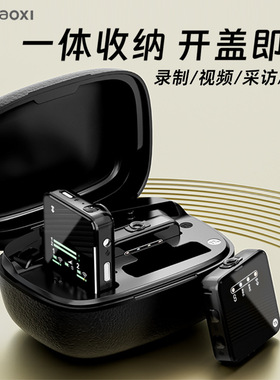 爆款M16无线领夹麦克风一拖二专业声卡全套收音降噪话筒