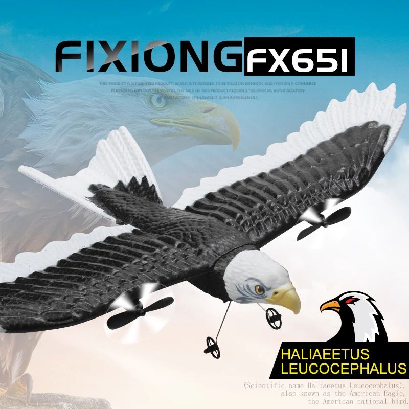 FX651 RC Plane Eagle Airplane Wingspan Glider 2.4G Radio Rem