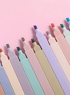 Highlighters Cute Pastel Pens 12 Colors Bible Pens No Bleed