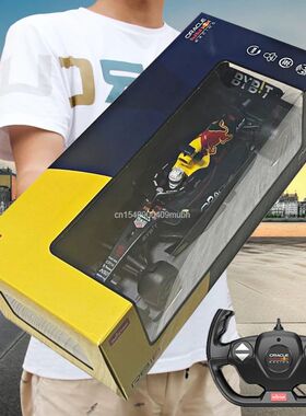 RC Car 2 F1 Red Bull RB18 #1 Max Verstappen Remote Control R