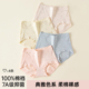 顶瓜瓜女士内裤 100%纯棉裆60s长绒棉抗菌高弹柔软女中高腰内裤
