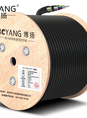 博扬（BOYANG）BY-GYTA53-72B1.3重铠地埋72芯单模室外光缆GYTA5