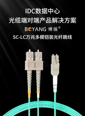 博扬 OM3万兆铠装光纤跳线LC-SC 45米 多模尾纤 一管双芯Uniboot