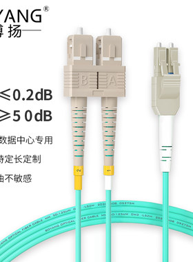 博扬 OM3万兆铠装光纤跳线LC-SC 15米 多模尾纤 一管双芯Uniboot