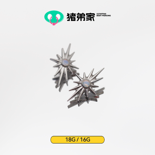 CC猪弟家 16G/18G 大号北极星 高抛光钛合金耳钉耳骨耳窝钉内螺纹