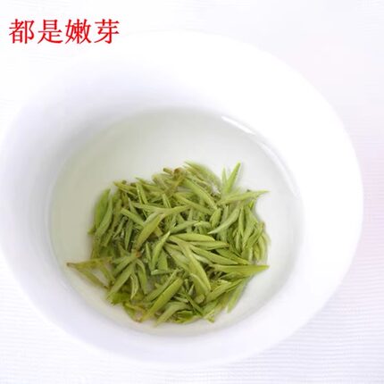 2024新茶 碧螺春茶 明前特级 茶农直销 绿茶100克/罐包邮