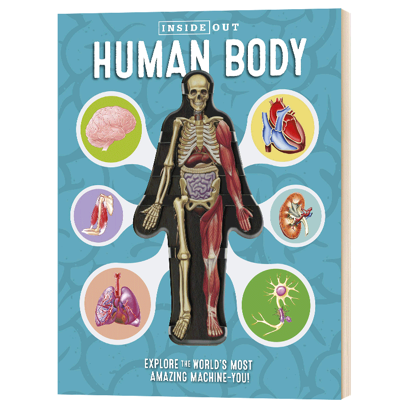 进口原版 Inside Out Human Body 人体科学 英文原版 Luann Columbo 英文版 少儿英语科普百科绘本 进口原版书籍   Becker
