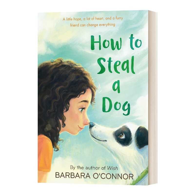 进口原版 如何偷走一只狗 英文原版 How To Steal A Dog偷狗的完美方法 道德与现实困境的现实性故事 女性力量与价值观题材小说