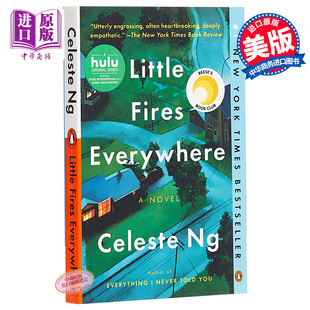 英文原版 Little Penguin 遍地小火苗 USA EXP 伍绮诗2017年新作 Everywhere 进口原版 Fires