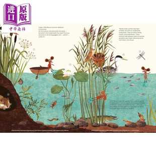 进口原版 *小老鼠的自然百科全书 Little Mouses Encyclopedia 英文原版 儿童科普绘本 知识图画故事 精装精品绘本    Abrams & Ch