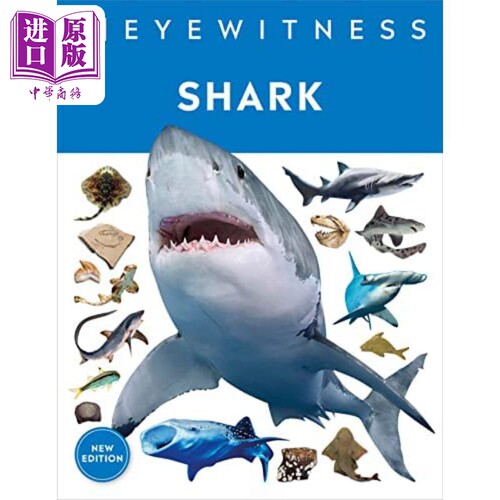 进口原版 *Eyewitness系列 鲨鱼百科 Shark Dive Into the Fascinating World of Sharks 英文原版 DK   DK USA