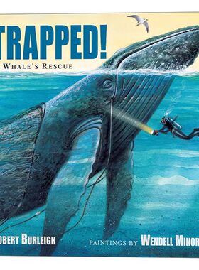 进口原版 英文原版 Trapped A Whale's Rescue 解救座头鲸 4-6岁儿童海洋动物保护主题绘本 Robert Burleigh 英文版 进口英语原